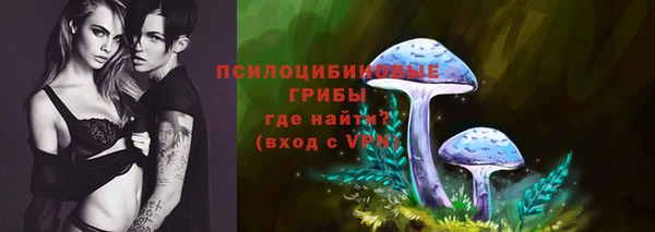 круглые Аркадак