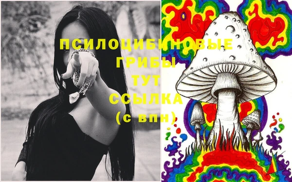 ECSTASY Армянск