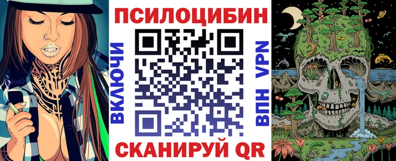 Псилоцибиновые грибы ЛСД  Новоалександровск 